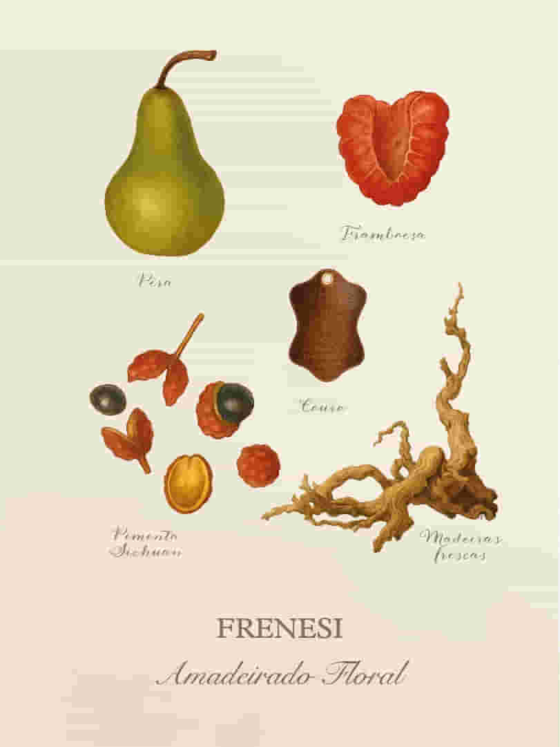 Frenesi -Cards-Perfumaria-pessoal-E-commerce-04